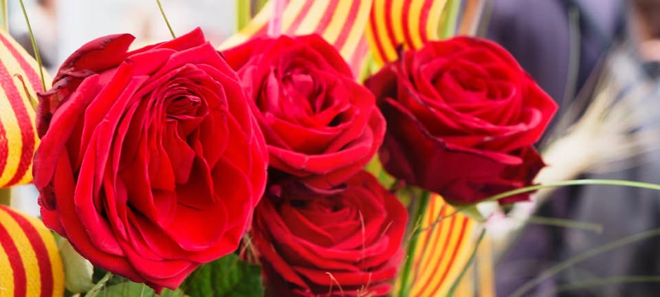 Sant Jordi 2025
